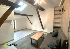 Appartement en location à Montluel / 1 pièce 17 m²